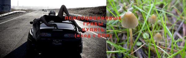 бутират Арсеньев