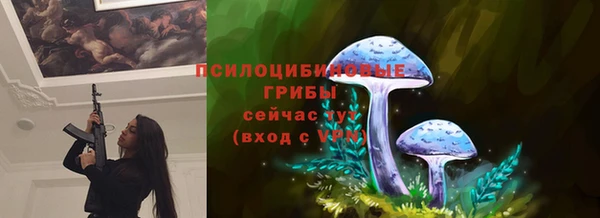 бутират Арсеньев