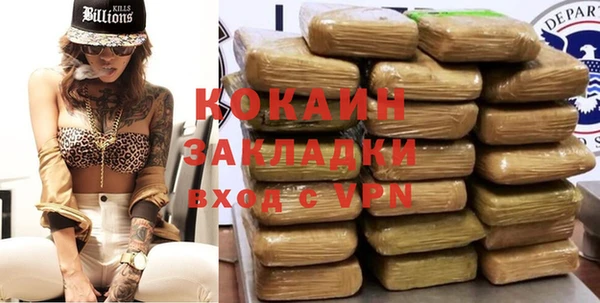 твердый Аркадак