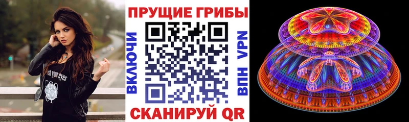 кракен вход  Северобайкальск  Галлюциногенные грибы Psilocybine cubensis 